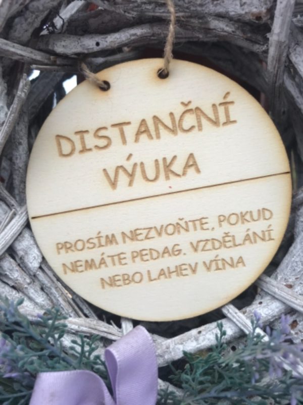 Distanční výuka